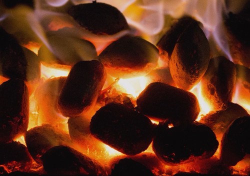 Coal cosyburn smokeless - coal,